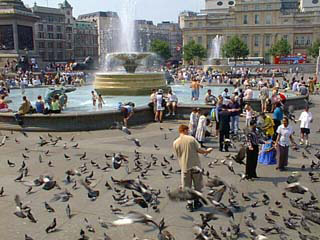 Life at play in Trafalgar square