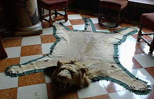 Warm rug killed in cold blood