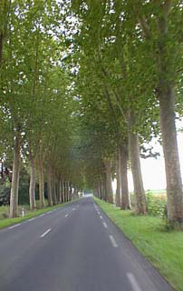 Lovely French Roads