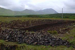 Cut peat trying to dry