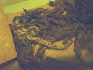 Hair for cloth