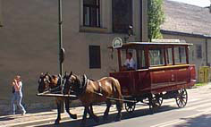 Horse Taxi