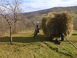 Wobbly haystack