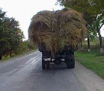 Haystack on the move