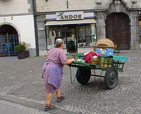 Lady going to market